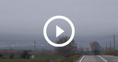 10-Estornells 22 4K HD