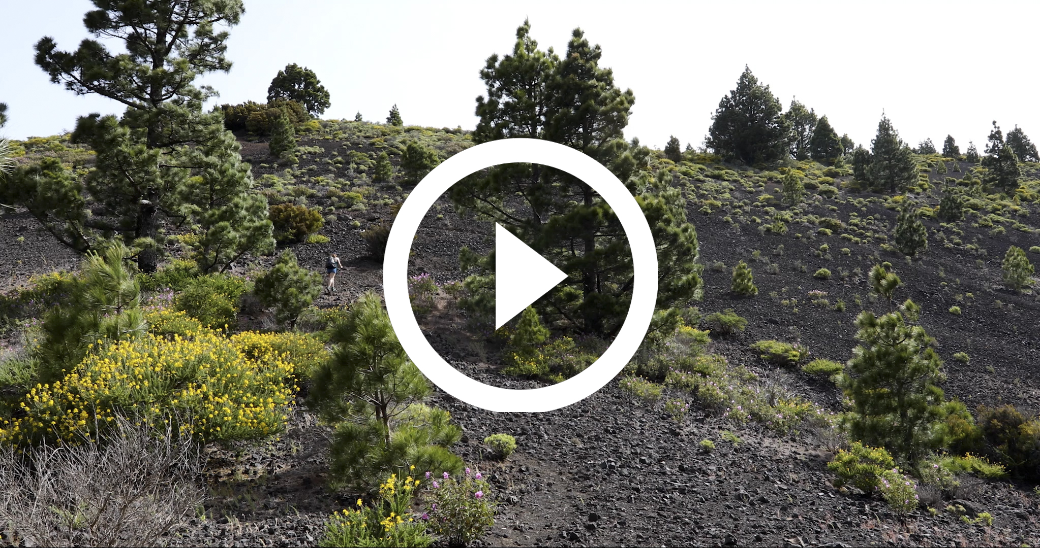 10-La Palma 21 4K HD