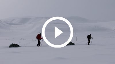 18-Expedición Parque Nacional de Dovrefjell, Noruega 18 4K HD