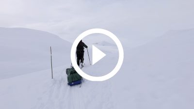19-Expedición Parque Nacional de Dovrefjell, Noruega 18 4K HD