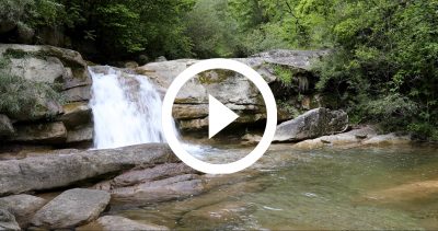 2-Primavera Garrotxa 21 4K HD