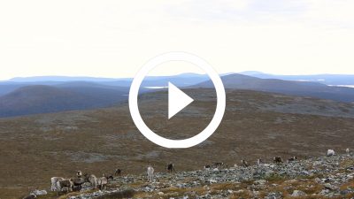 35-Renos Finlandia 16 HD