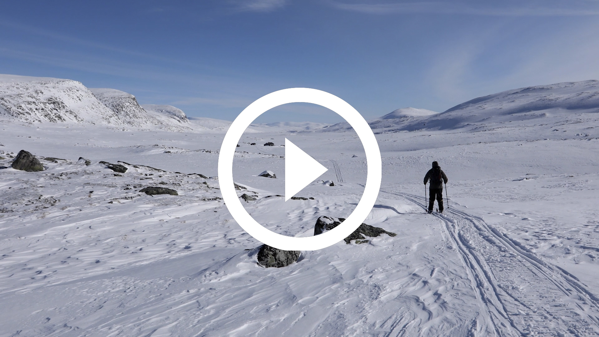 36-Expedición Parque Nacional de Dovrefjell, Noruega 18 4K HD