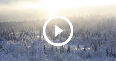 44-EXPE PALLAS 4K HD