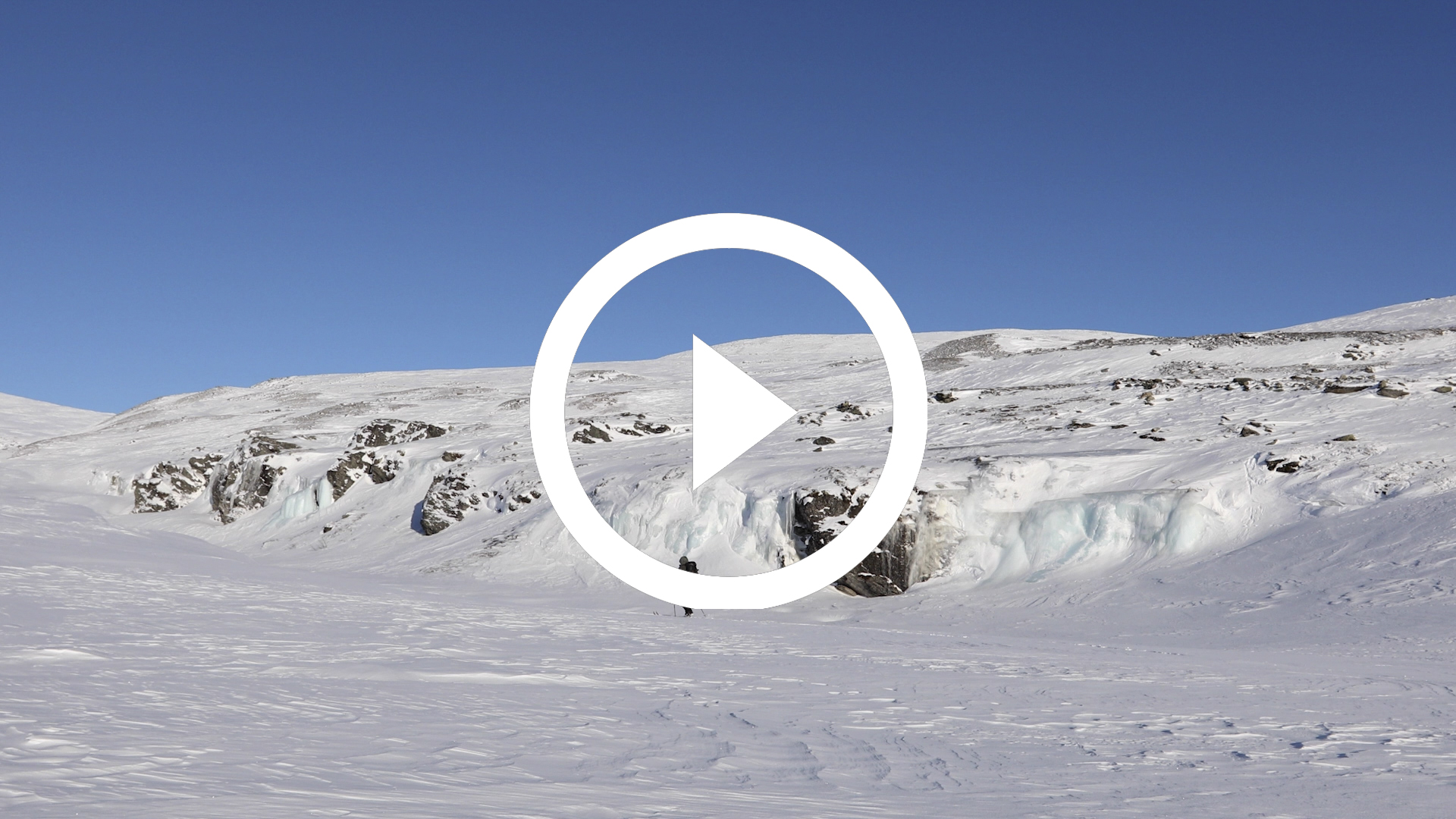 60-Expedición Parque Nacional de Dovrefjell, Noruega 18 4K HD