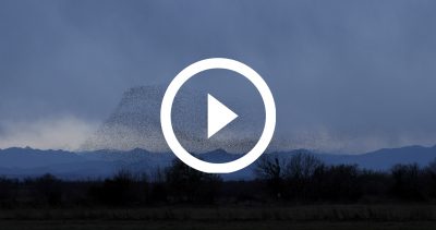 7-Estornells 21 4K HD