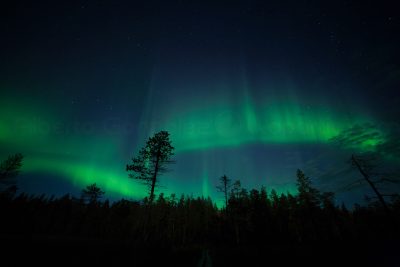 Fotografía Aurora Boreal Laponia