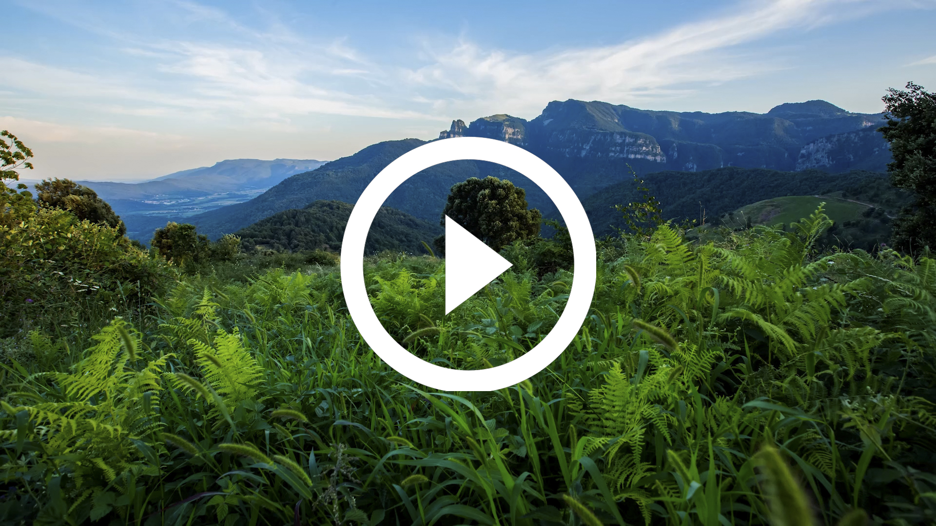 19-Timelapse Garrotxa 18 4K HD