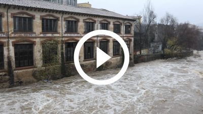 13-temporal Gloria Olot 20 4K HD