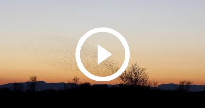 15-Estornells 21 4K HD