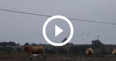 16-Estornells 22 4K HD