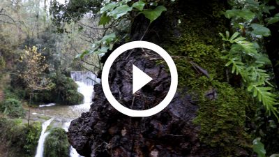 18-Salt de Can Batlle Otoño 18 4K HD