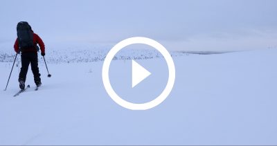 19-EXPE PALLAS 4K HD