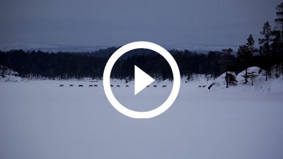 23-Renos Lago Inari, Finlandia 15 HD