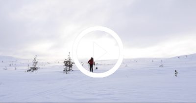 27-EXPE PALLAS 4K HD