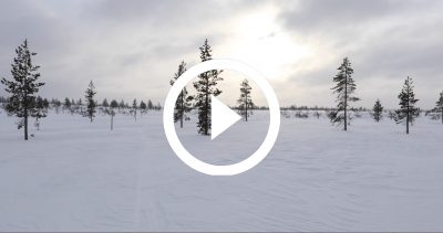 34-EXPE PALLAS 4K HD