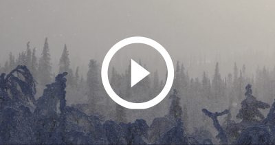 49-EXPE PALLAS 4K HD
