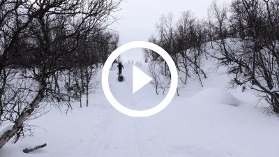 5-Expedición Parque Nacional de Dovrefjell, Noruega 18 4K HD