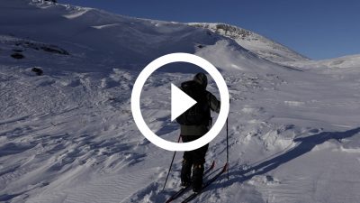 59-Expedición Parque Nacional de Dovrefjell, Noruega 18 4K HD