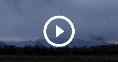 6-Estornells 21 4K HD