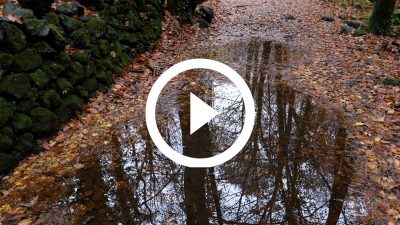 6-Fageda d'en Jordà Otoño 18 4K HD
