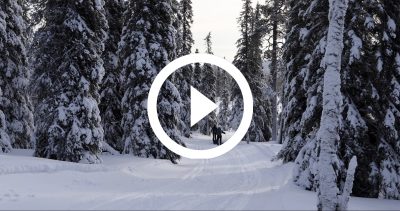 67-EXPE PALLAS 4K HD