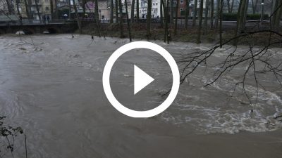 7-temporal Gloria Olot 20 4K HD